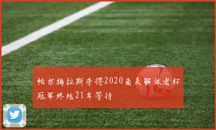 帕尔梅拉斯夺得2020南美解放者杯冠军终结21年等待